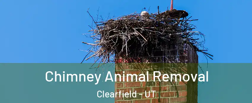 Chimney Animal Removal Clearfield - UT