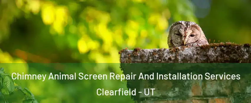 Chimney Animal Screen Repair And Installation Services Clearfield - UT