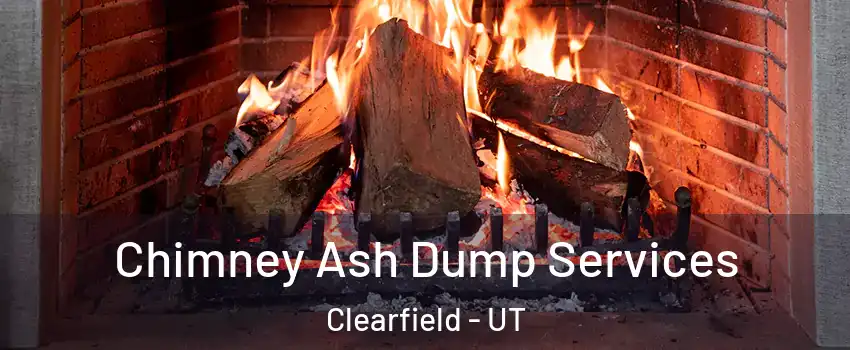  Chimney Ash Dump Services Clearfield - UT