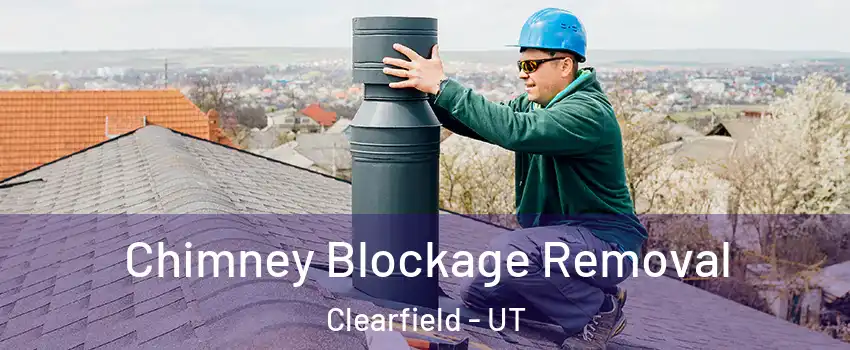  Chimney Blockage Removal Clearfield - UT