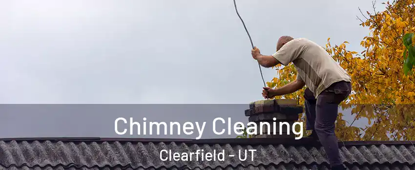  Chimney Cleaning Clearfield - UT