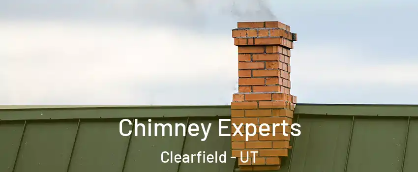  Chimney Experts Clearfield - UT