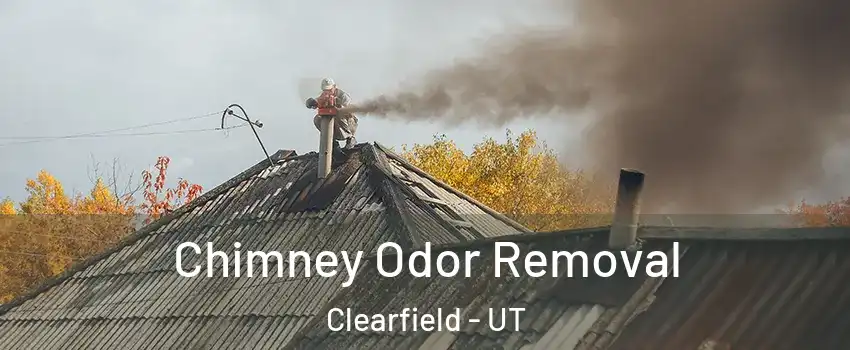  Chimney Odor Removal Clearfield - UT