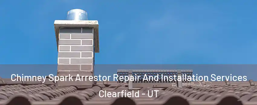  Chimney Spark Arrestor Repair And Installation Services Clearfield - UT