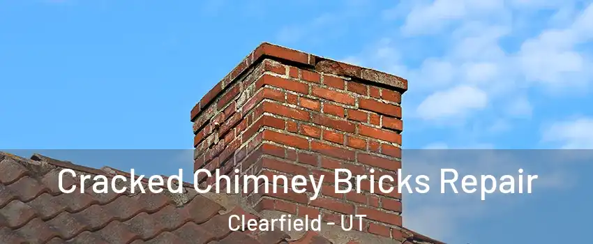  Cracked Chimney Bricks Repair Clearfield - UT