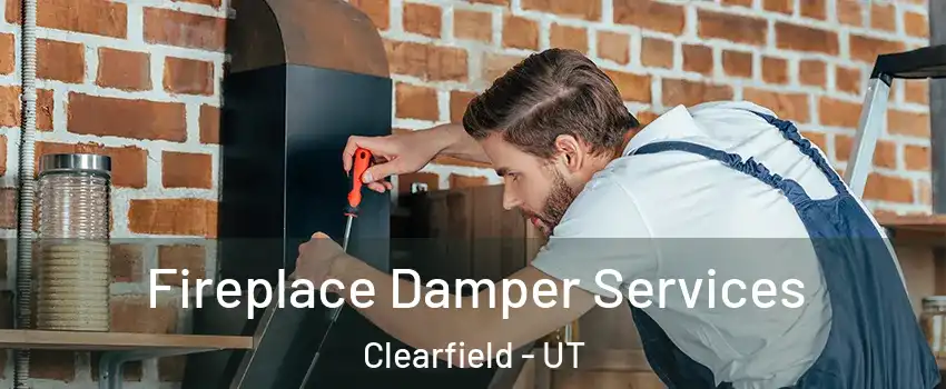  Fireplace Damper Services Clearfield - UT