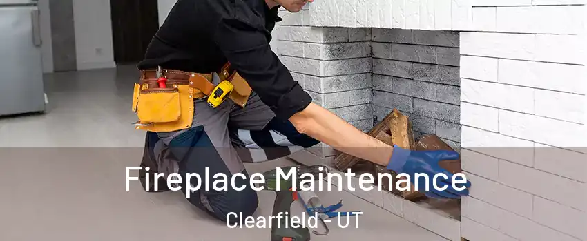  Fireplace Maintenance Clearfield - UT