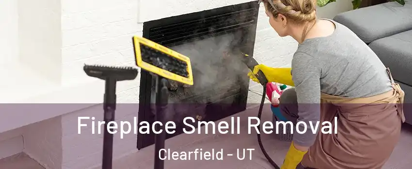  Fireplace Smell Removal Clearfield - UT