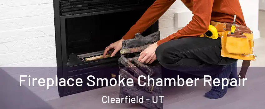  Fireplace Smoke Chamber Repair Clearfield - UT