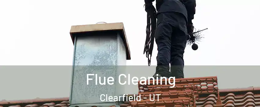  Flue Cleaning Clearfield - UT
