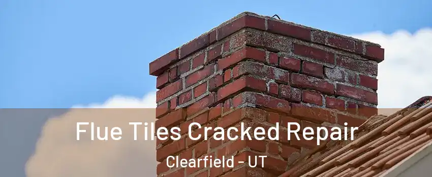  Flue Tiles Cracked Repair Clearfield - UT