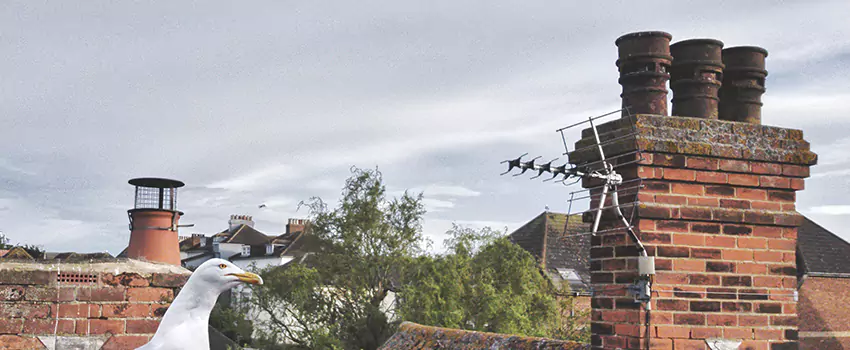 Chimney Cleaning And Restoration in Clearfield, Utah