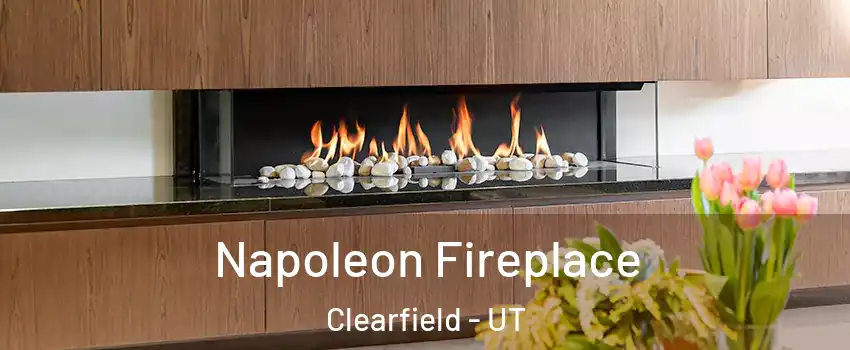  Napoleon Fireplace Clearfield - UT